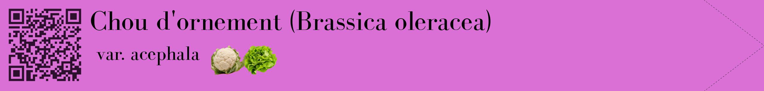Étiquette de : Brassica oleracea var. acephala - format c - style noire52simple_simple_simplebod avec qrcode et comestibilité simplifiée