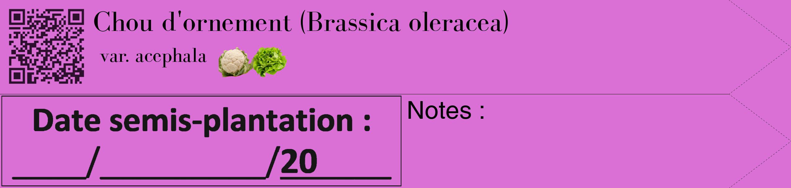 Étiquette de : Brassica oleracea var. acephala - format c - style noire52simple_simple_simplebod avec qrcode et comestibilité simplifiée
