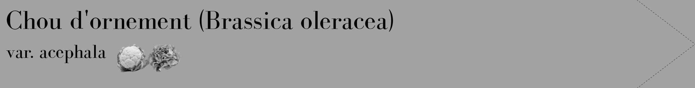 Étiquette de : Brassica oleracea var. acephala - format c - style noire38_simple_simplebod avec comestibilité simplifiée
