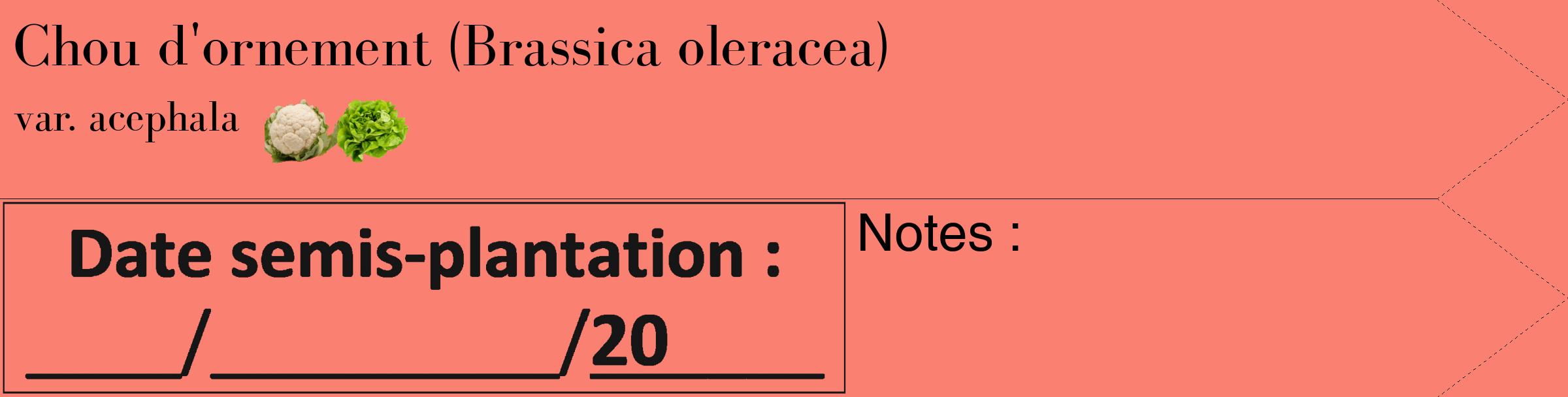 Étiquette de : Brassica oleracea var. acephala - format c - style noire38_simple_simplebod avec comestibilité simplifiée