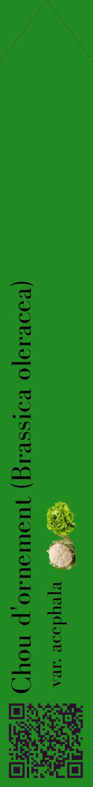 Étiquette de : Brassica oleracea var. acephala - format c - style noire10_simplebod avec qrcode et comestibilité simplifiée