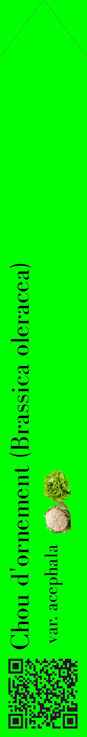 Étiquette de : Brassica oleracea var. acephala - format c - style noire16_simplebod avec qrcode et comestibilité simplifiée