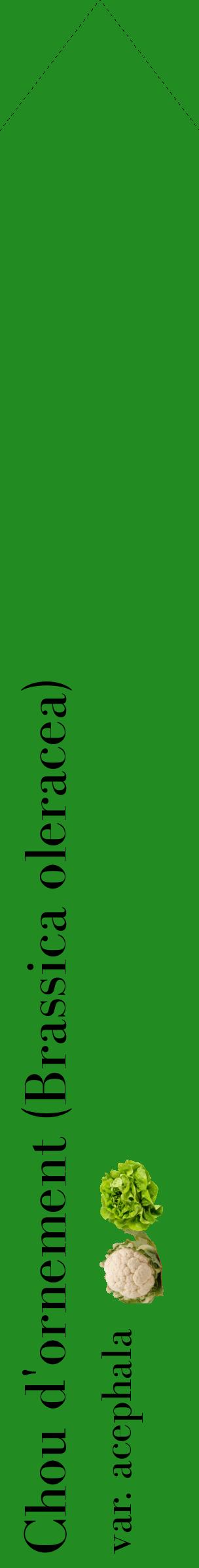 Étiquette de : Brassica oleracea var. acephala - format c - style noire10_simplebod avec comestibilité simplifiée