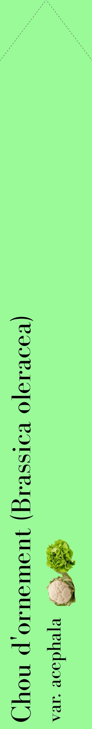Étiquette de : Brassica oleracea var. acephala - format c - style noire14_simplebod avec comestibilité simplifiée