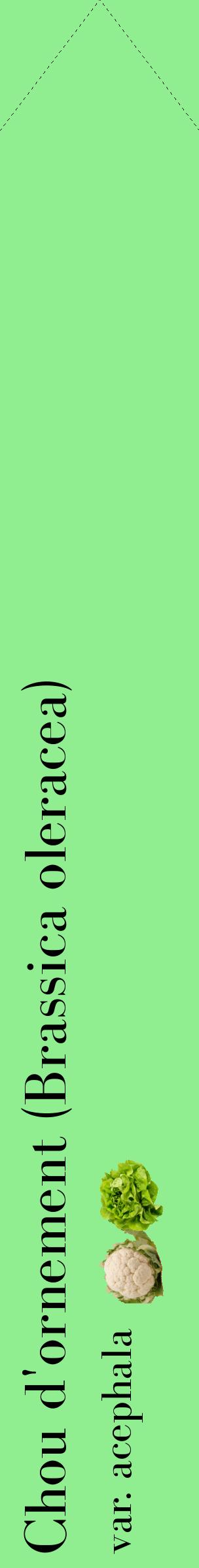 Étiquette de : Brassica oleracea var. acephala - format c - style noire15_simplebod avec comestibilité simplifiée