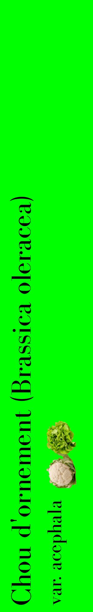 Étiquette de : Brassica oleracea var. acephala - format c - style noire16_basiquebod avec comestibilité simplifiée