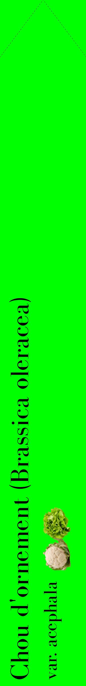 Étiquette de : Brassica oleracea var. acephala - format c - style noire16_simplebod avec comestibilité simplifiée
