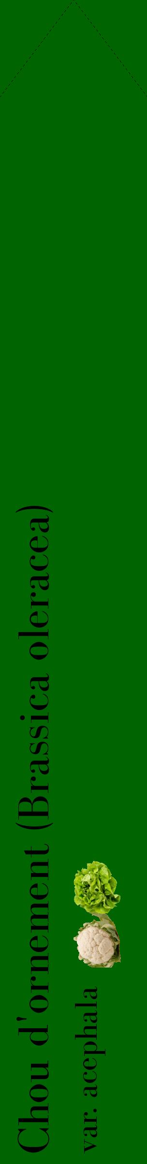 Étiquette de : Brassica oleracea var. acephala - format c - style noire8_simplebod avec comestibilité simplifiée