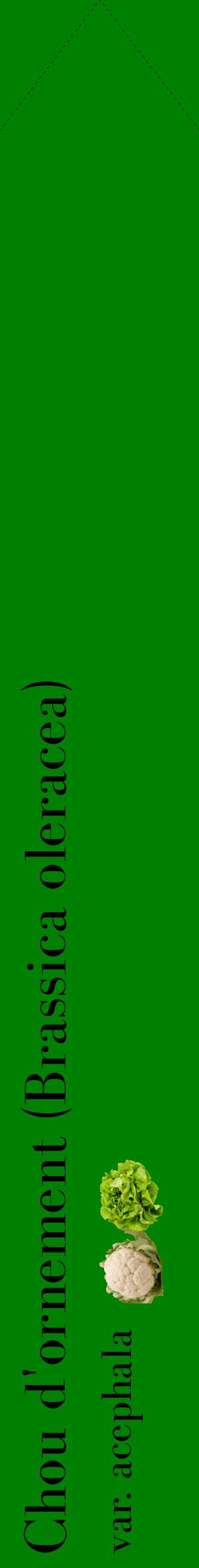 Étiquette de : Brassica oleracea var. acephala - format c - style noire9_simplebod avec comestibilité simplifiée