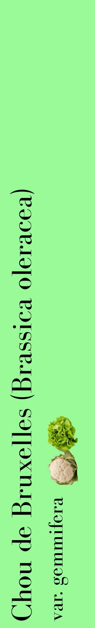 Étiquette de : Brassica oleracea var. gemmifera - format c - style noire14_basiquebod avec comestibilité simplifiée