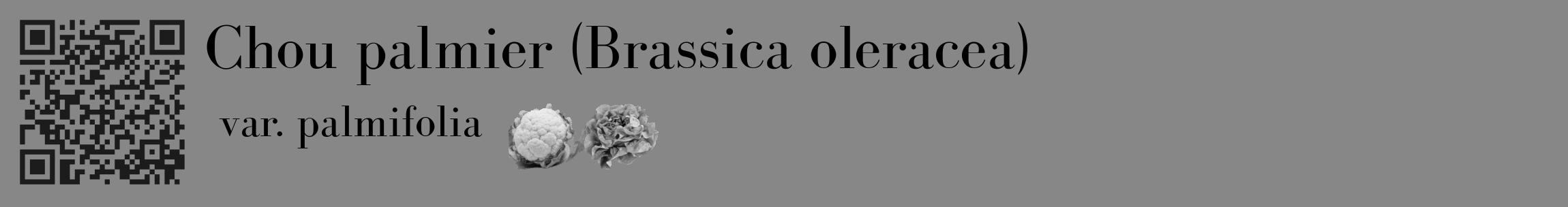 Étiquette de : Brassica oleracea var. palmifolia - format c - style noire12_basique_basiquebod avec qrcode et comestibilité simplifiée