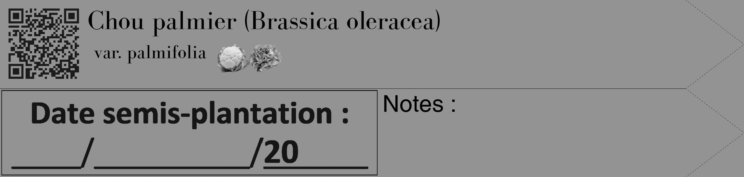 Étiquette de : Brassica oleracea var. palmifolia - format c - style noire44_simple_simplebod avec qrcode et comestibilité simplifiée
