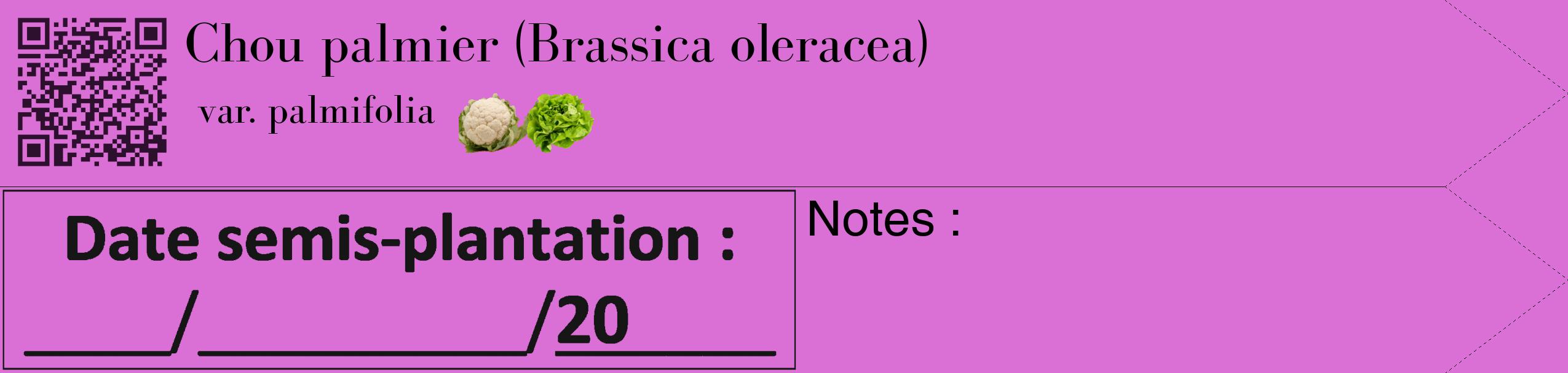Étiquette de : Brassica oleracea var. palmifolia - format c - style noire52_simple_simplebod avec qrcode et comestibilité simplifiée