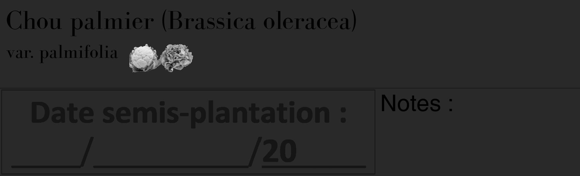 Étiquette de : Brassica oleracea var. palmifolia - format c - style noire34_basique_basiquebod avec comestibilité simplifiée