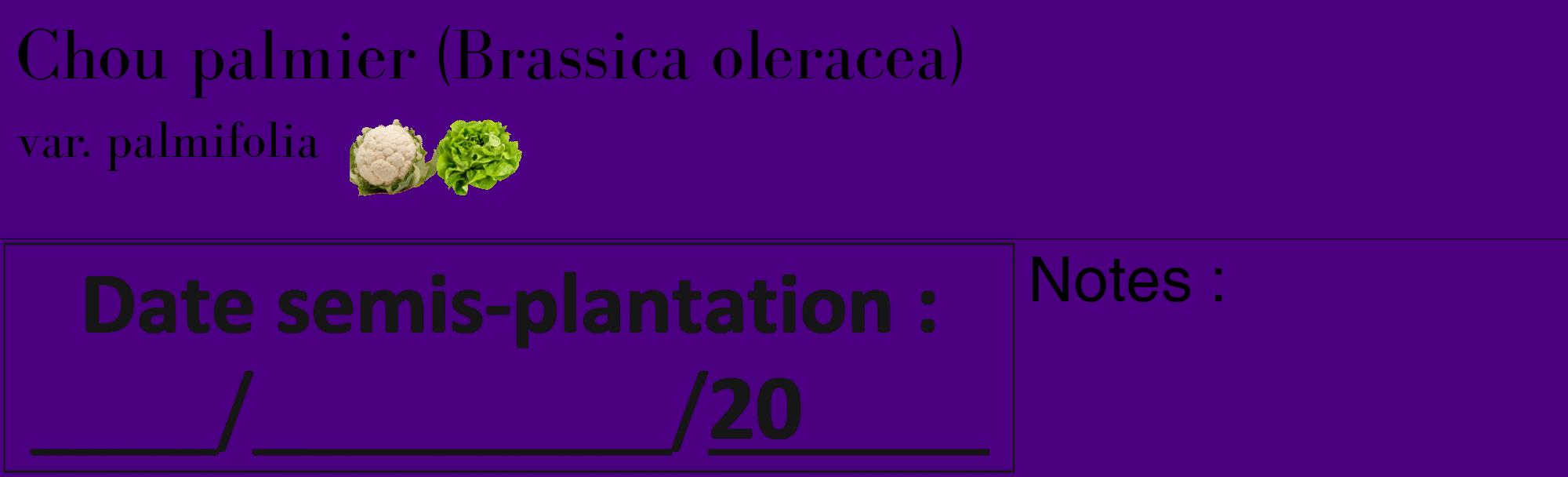 Étiquette de : Brassica oleracea var. palmifolia - format c - style noire47_basique_basiquebod avec comestibilité simplifiée