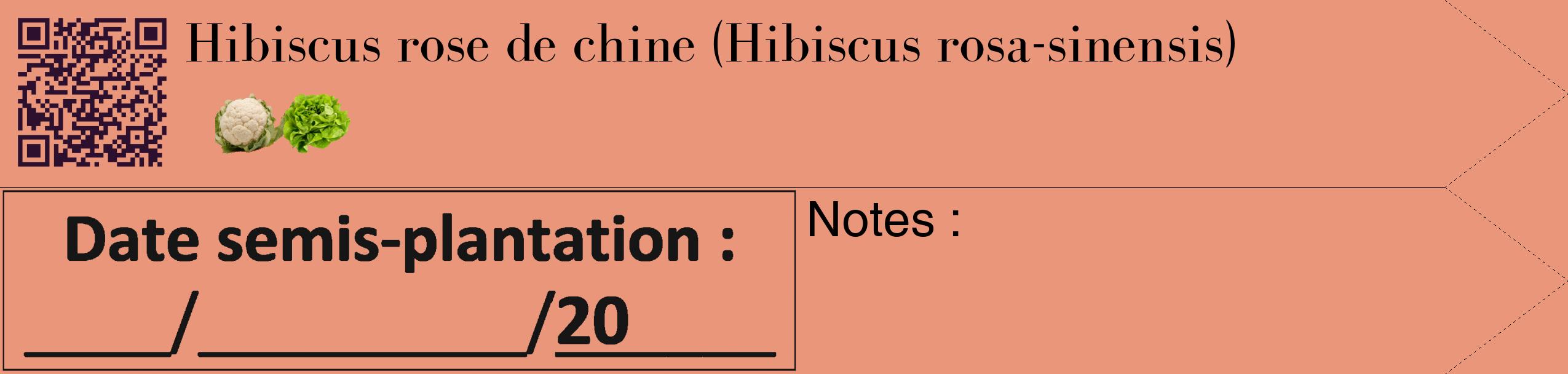 Étiquette de : Hibiscus rosa-sinensis - format c - style noire37_simple_simplebod avec qrcode et comestibilité simplifiée