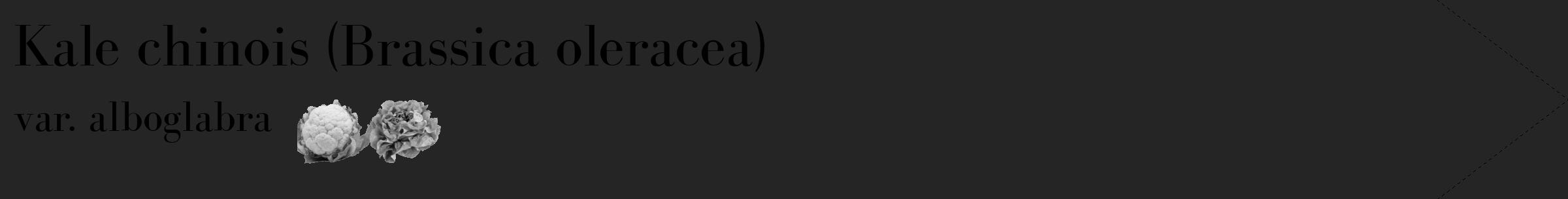 Étiquette de : Brassica oleracea var. alboglabra - format c - style noire47_simple_simplebod avec comestibilité simplifiée