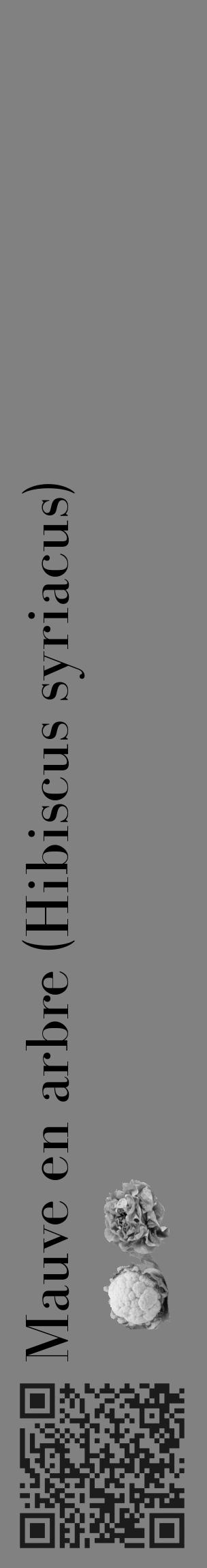 Étiquette de : Hibiscus syriacus - format c - style noire50_basique_basiquebod avec qrcode et comestibilité simplifiée - position verticale