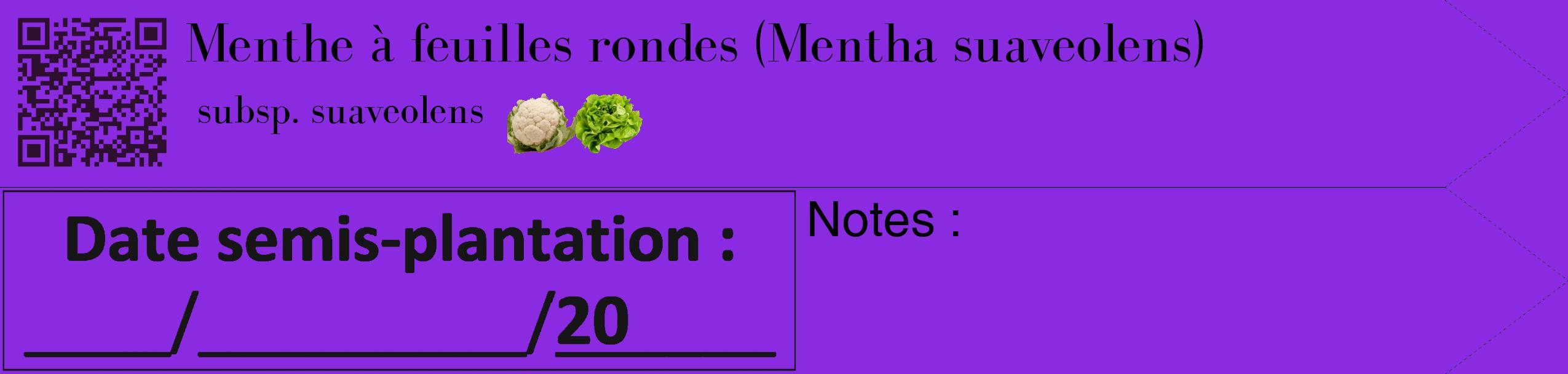 Étiquette de : Mentha suaveolens subsp. suaveolens - format c - style noire49_simple_simplebod avec qrcode et comestibilité simplifiée