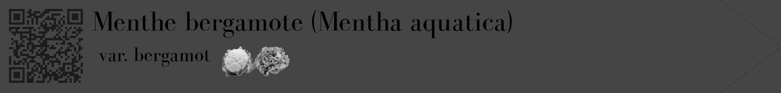 Étiquette de : Mentha aquatica var. bergamot - format c - style noire58_simple_simplebod avec qrcode et comestibilité simplifiée