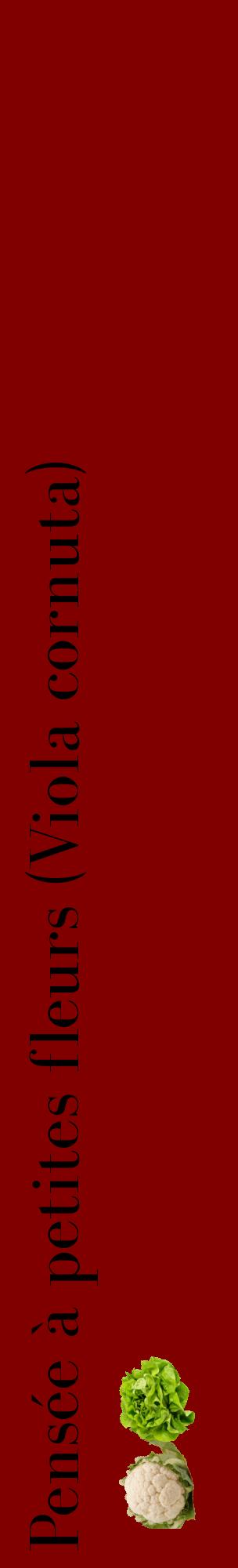 Étiquette de : Viola cornuta - format c - style noire29_basiquebod avec comestibilité simplifiée