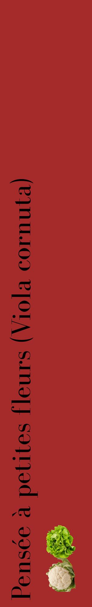 Étiquette de : Viola cornuta - format c - style noire33_basiquebod avec comestibilité simplifiée