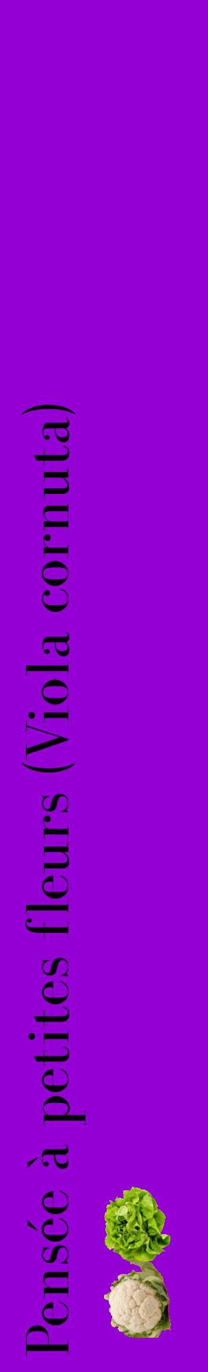 Étiquette de : Viola cornuta - format c - style noire48_basiquebod avec comestibilité simplifiée