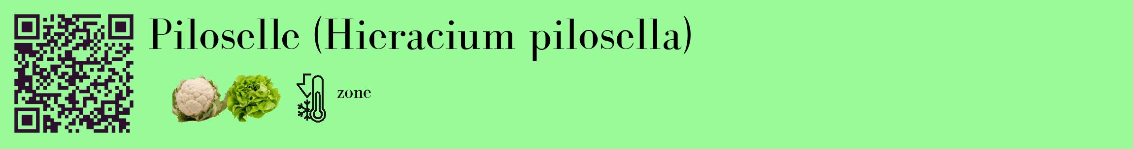 Étiquette de : Hieracium pilosella - format c - style noire14_basique_basiquebod avec qrcode et comestibilité simplifiée