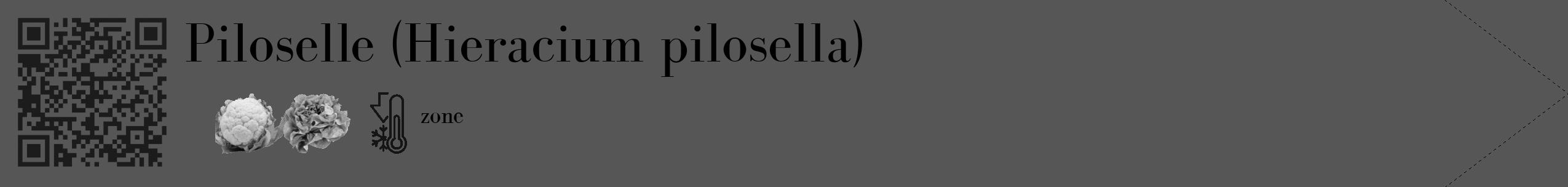 Étiquette de : Hieracium pilosella - format c - style noire45_simple_simplebod avec qrcode et comestibilité simplifiée