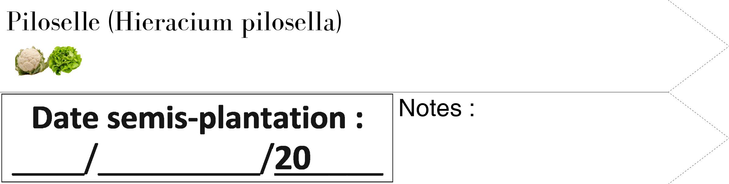 Étiquette de : Hieracium pilosella - format c - style noire60_simple_simplebod avec comestibilité simplifiée