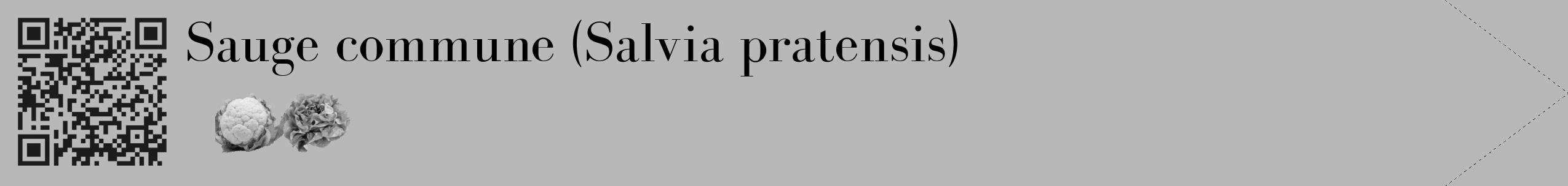 Étiquette de : Salvia pratensis - format c - style noire39_simple_simplebod avec qrcode et comestibilité simplifiée