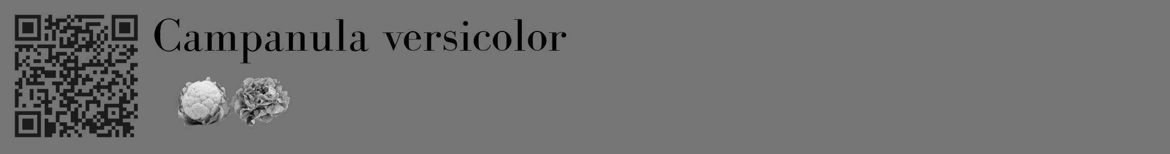 Étiquette de : Campanula versicolor - format c - style noire26_basique_basiquebod avec qrcode et comestibilité simplifiée