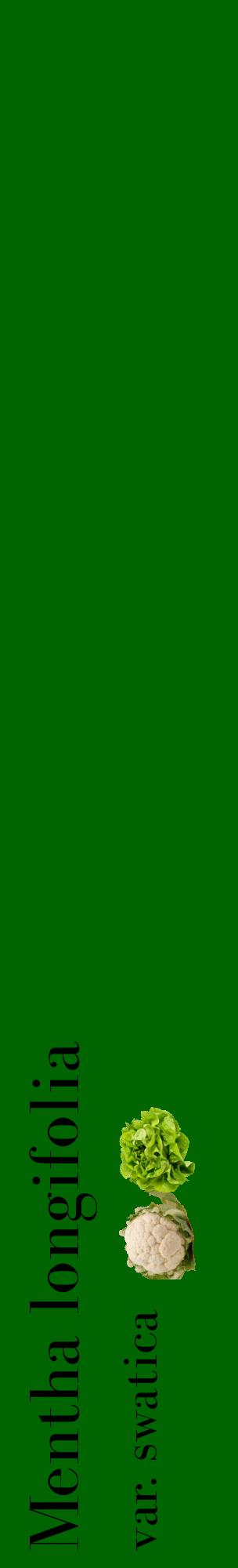 Étiquette de : Mentha longifolia var. swatica - format c - style noire8_basiquebod avec comestibilité simplifiée