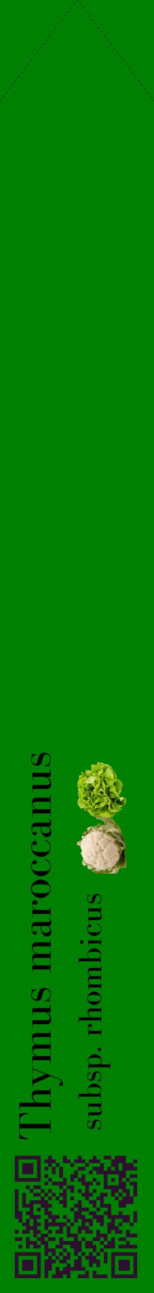 Étiquette de : Thymus maroccanus subsp. rhombicus - format c - style noire9_simplebod avec qrcode et comestibilité simplifiée