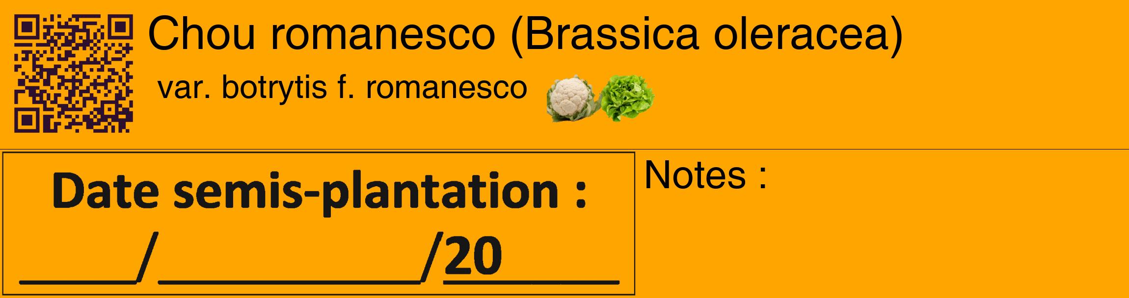Étiquette de : Brassica oleracea var. botrytis f. romanesco - format c - style noire22_basique_basiquehel avec qrcode et comestibilité simplifiée