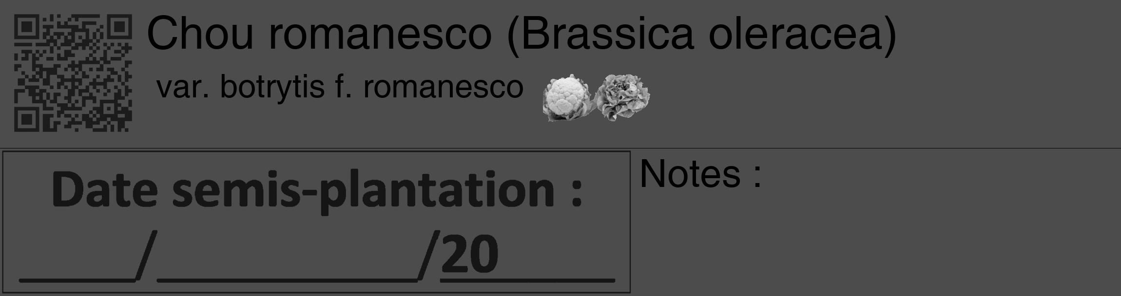 Étiquette de : Brassica oleracea var. botrytis f. romanesco - format c - style noire27_basique_basiquehel avec qrcode et comestibilité simplifiée