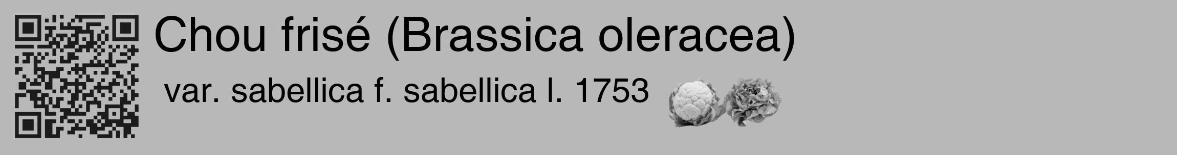 Étiquette de : Brassica oleracea var. sabellica f. sabellica l. 1753 - format c - style noire39basique_basique_basiquehel avec qrcode et comestibilité simplifiée