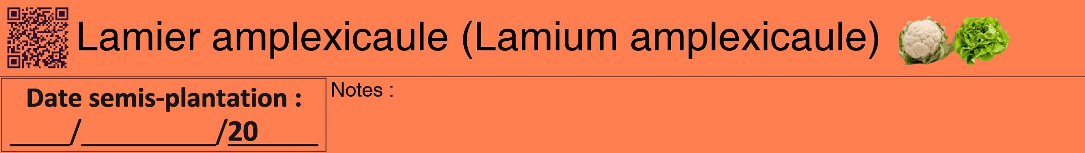 Étiquette de : Lamium amplexicaule - format a - style noire24hel avec qrcode et comestibilité simplifiée