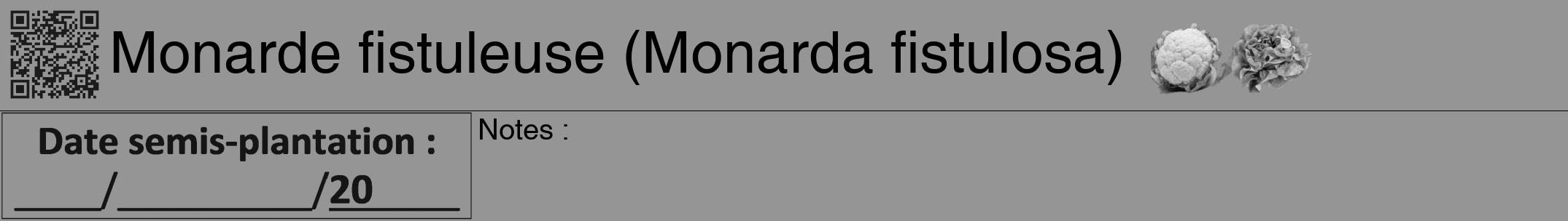 Étiquette de : Monarda fistulosa - format a - style noire16hel avec qrcode et comestibilité simplifiée