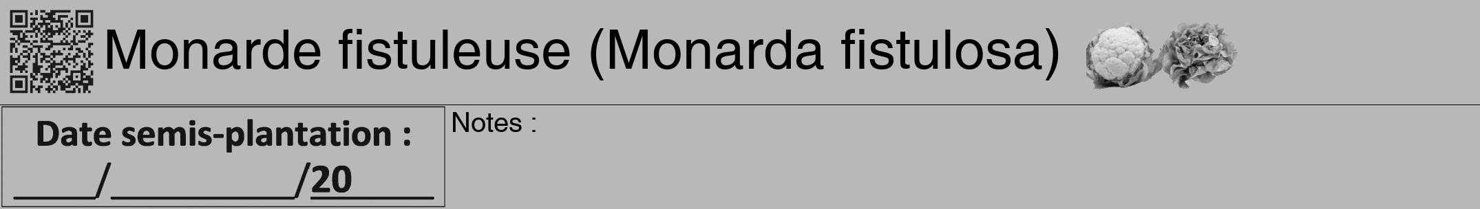 Étiquette de : Monarda fistulosa - format a - style noire39hel avec qrcode et comestibilité simplifiée