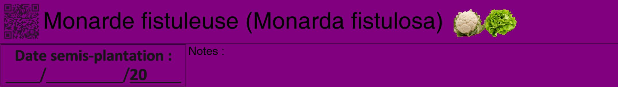 Étiquette de : Monarda fistulosa - format a - style noire46hel avec qrcode et comestibilité simplifiée