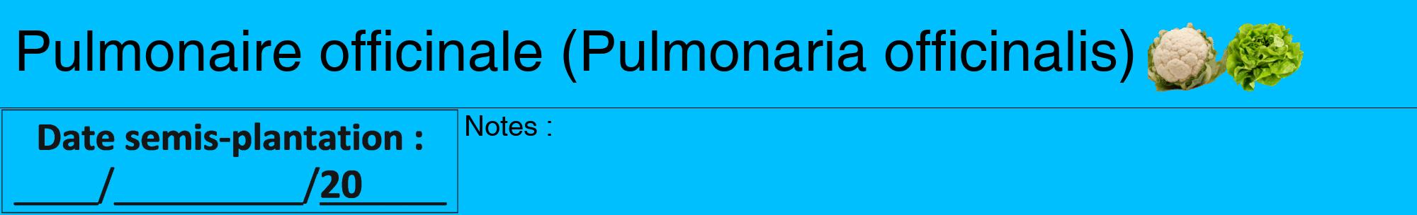 Étiquette de : Pulmonaria officinalis - format a - style noire2hel avec comestibilité simplifiée