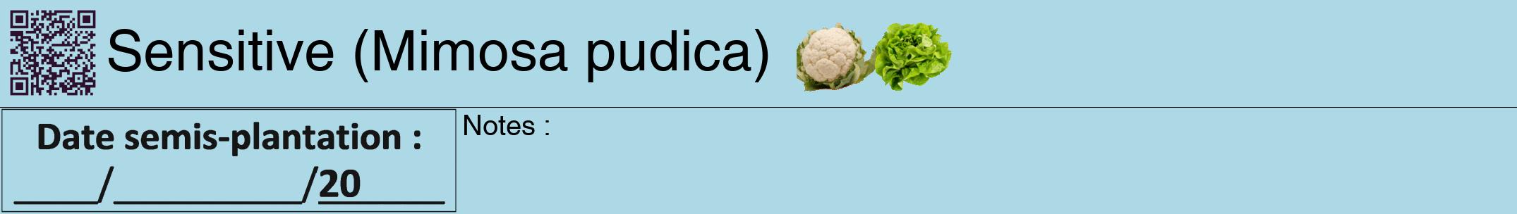 Étiquette de : Mimosa pudica - format a - style noire0hel avec qrcode et comestibilité simplifiée