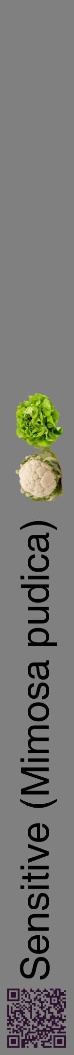 Étiquette de : Mimosa pudica - format a - style noire57hel avec qrcode et comestibilité simplifiée