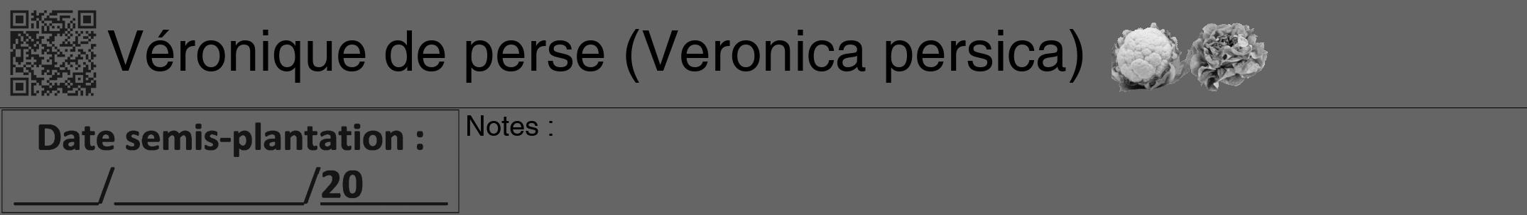 Étiquette de : Veronica persica - format a - style noire32hel avec qrcode et comestibilité simplifiée