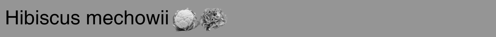 Étiquette de : Hibiscus mechowii - format a - style noire16hel avec comestibilité simplifiée