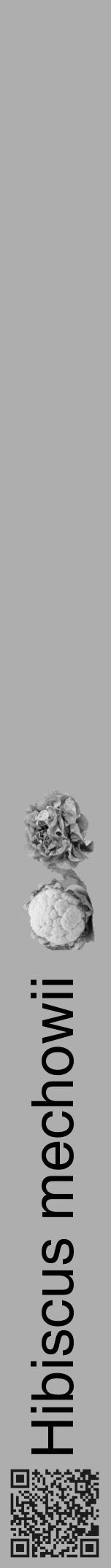 Étiquette de : Hibiscus mechowii - format a - style noire53hel avec qrcode et comestibilité simplifiée - position verticale