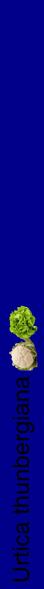 Étiquette de : Urtica thunbergiana - format a - style noire7hel avec comestibilité simplifiée