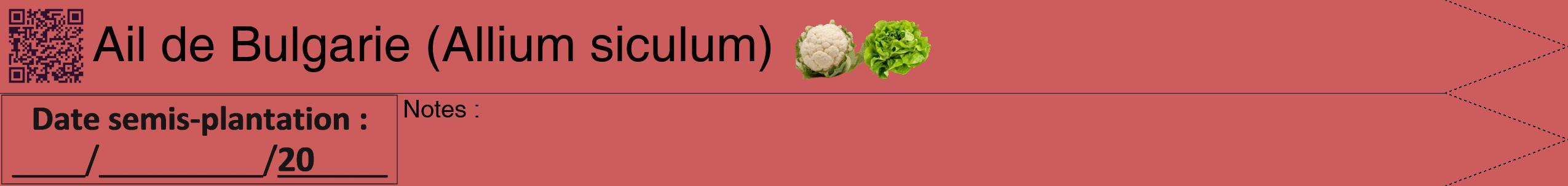 Étiquette de : Allium siculum - format b - style noire35hel avec qrcode et comestibilité simplifiée