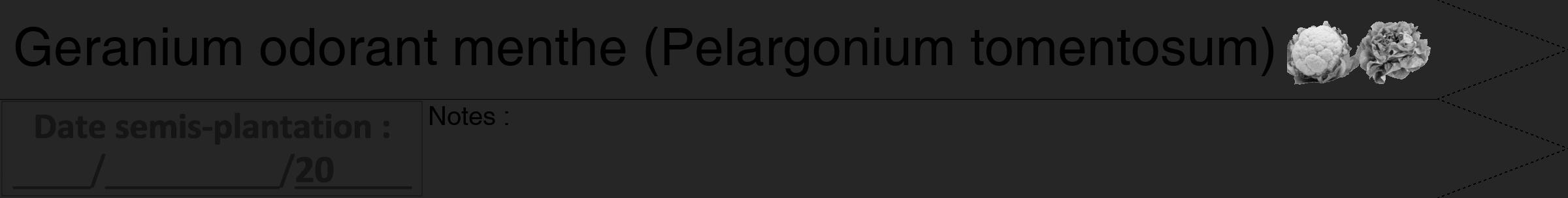 Étiquette de : Pelargonium tomentosum - format b - style noire29hel avec comestibilité simplifiée